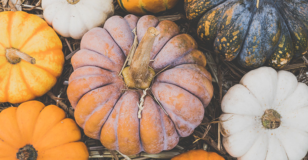 Consejos de Food trucks para realizar más ventas en otoño